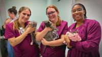 ‘Pet Pals TV’: A look into Eskenazi Health’s animal therapy program