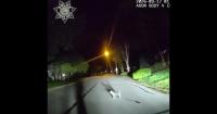 Bodycam Shows Hero Dog Leading Kansas Officer To Injured Owner