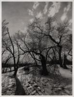 Maine artist debuts first solo exhibition at Woolwich gallery