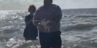 Green sea turtle released into Mississippi Sound after months of rehab