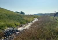 Scout Motors begins 1,100-acre reforestation and wildlife revival