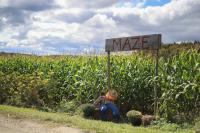 Amazing Corn Maze seeks to reconnect public with agriculture