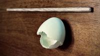 Researchers Use Eggshells (Yes, Eggshells) to Make Stronger, Lighter Metal Alloys
