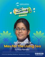 T&T Writer Places In Top Three In Regional Climate Change Writing Competition