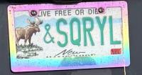 GR8PL8: New Hampshire car owners are driven by vanity