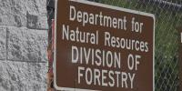 Fall fire season begins across West Virginia: What to know about burning restrictions