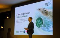 Phileo by Lessafre study finds shrimp gut health could be key to increased farm yields