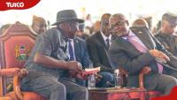 Kenyan company woos Dangote for critical 1-million-tonne supplies: "Well positioned"