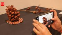 Ecology to aspiration: Art reflects the many faces of paradise