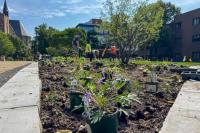 Take part in campus sustainability events during October  