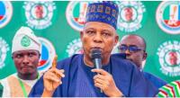 Nigeria needs $410bn additional investment for net-zero pathway - Shettima