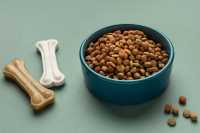Japan-Malaysia Pet Food Joint Venture Targets Wider Asian Manufacturing Growth