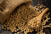 China’s Soybean Demand Slows: What It Means For ASEAN Manufacturers