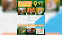 Fall fun is here: Georgia’s new map highlights pumpkin patches, corn mazes and more