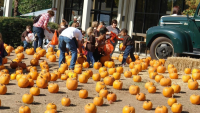 Pumpkin Adventure returning to Mississippi Agriculture Museum this October