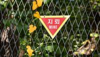 DMZ mine blast was a North Korean provocation, not an 'accident'