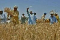 Punjab Eyes AI-Powered Agriculture to Boost Farmers’ Productivity