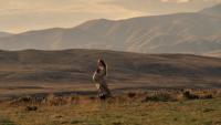 Where Was East of Eden Filmed? New Zealand Stands In for a Bygone California