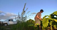 Zimbabwe’s compensation payments to white farmers hit $508 million 25 years after land seizures
