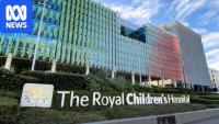 Hospital apologises over unapproved gloves for handling chemotherapy drugs