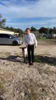 Youth Market Auction Brings Local Animals for Sale