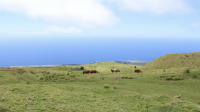 Hawaiʻi State Energy Office supports applications for Energy Technology Innovation Partnership Project