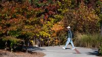Free and Fun Ways to Spend Fall Break in Atlanta