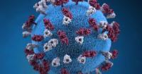 Oregon health officials urge vaccinations ahead of respiratory virus season