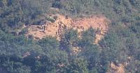 North Korea Answers JCS Mine Findings in a Day, Not Four