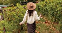 Winery Weekends and Events