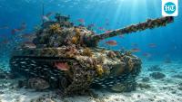 In 1994, 100 obsolete battle tanks were sunk off Alabama; three decades later, they remain underwater fish habitat