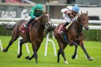 Qatari contenders pursue top honours in Paris
