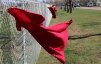 Rimbey Amnesty International is hosting the Sisters in Spirit candle lighting vigil on Oct. 4
