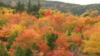 Leaf-peeping season has arrived in New Hampshire's White Mountains