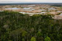 Wake Forest-CINCIA Researchers Brief Pope on Amazon Mercury Pollution