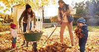 Tips for maintaining a healthy garden in the fall
