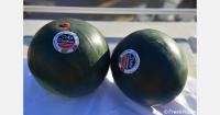 Midi watermelons exported from Iceland to the Arabian Peninsula