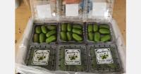 Chinese kiwi berries gain popularity in Singapore