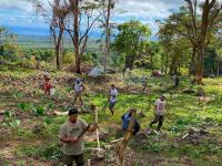 Restoring Native Forests and Improving Biodiversity in Samoa