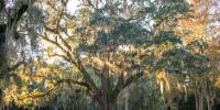 South Carolina adds new state park. See where