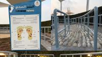 Reflexology Pathway at Abu Dhabi Corniche rejuvenates the body