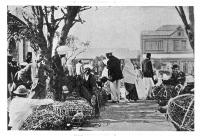 From moneylenders to merchants: the debt networks shaping Indian life in colonial Natal