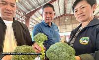 Mayor Roderick Awingan Bans Smuggled Vegetables in La Trinidad Markets