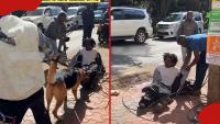 Nairobi residents impressed as German Shepherd helps catch suspected phone snatcher