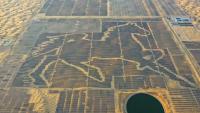 Chinese PV Industry Brief: Inner Mongolia advances 5.5 GW solar-desertification program