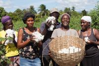 If We Can Start an Epoch, We Can Start a Farming Revolution