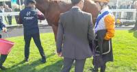£2.9m Maldives still chasing first win after finishing fourth at Salisbury