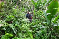 Rewilding Visayan Wildlife Brings a Philippine Island’s Rarest Species Back Home