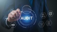 How Should Foreign-Owned Companies Prepare for a Corporate Tax Audit in Indonesia?