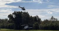 Hillsborough adds 53 dengue cases, gets help from Lee to control mosquito spread